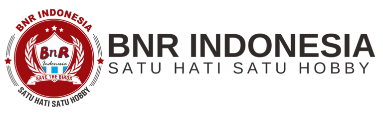 bnr-768x234